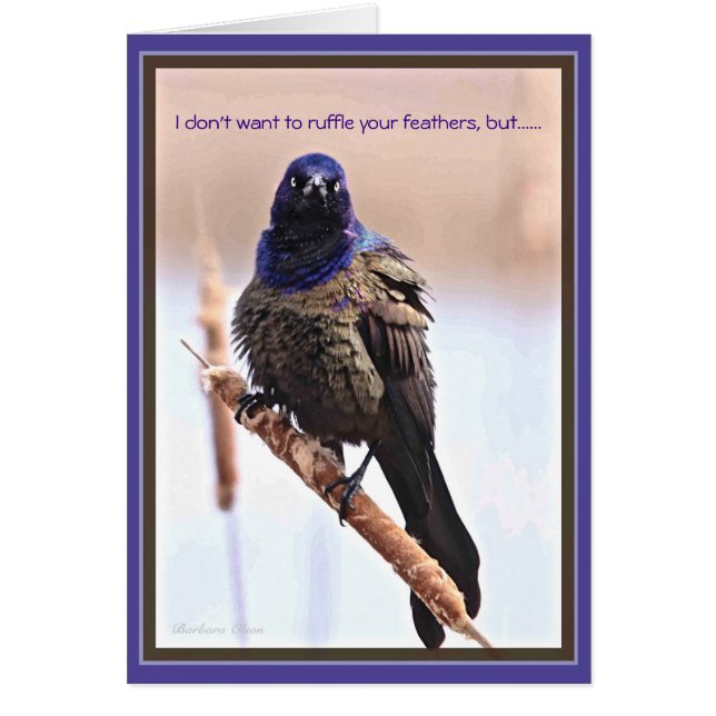 Happy Birthday: Ruffled feathers Cards (Front)