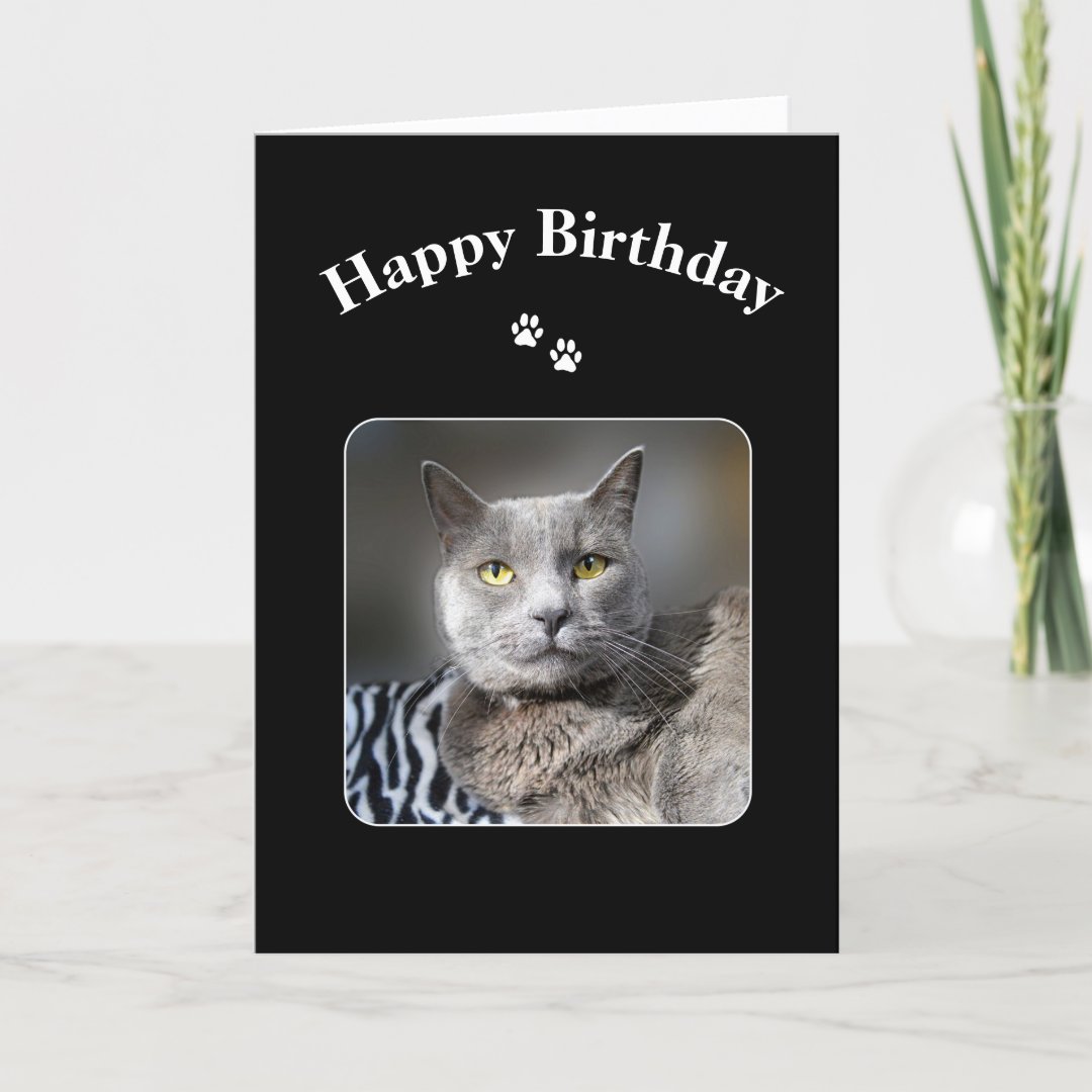 Happy Birthday Russian Blue Cat Card | Zazzle