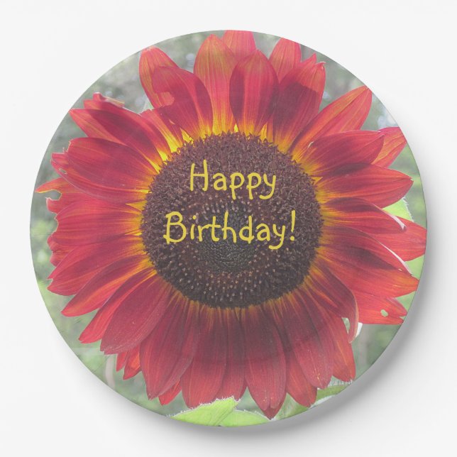 Happy Birthday Rusty Sunflower Paper Plates (Front)