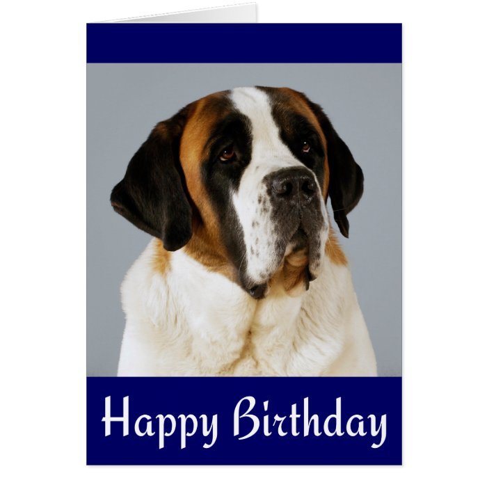 Happy Birthday Saint Bernard Puppy Dog Card