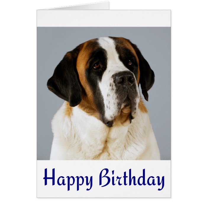 Happy Birthday Saint Bernard Puppy Dog Card