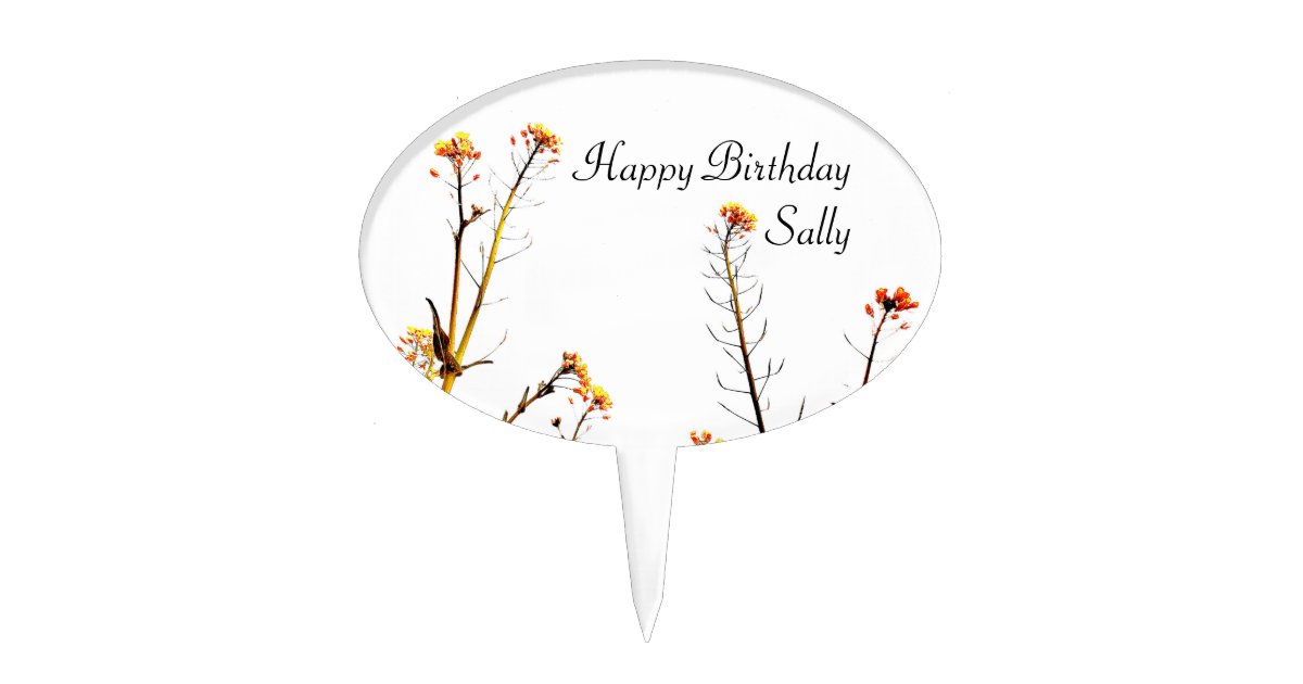 Happy Birthday Sally Cake Topper Zazzle 8085