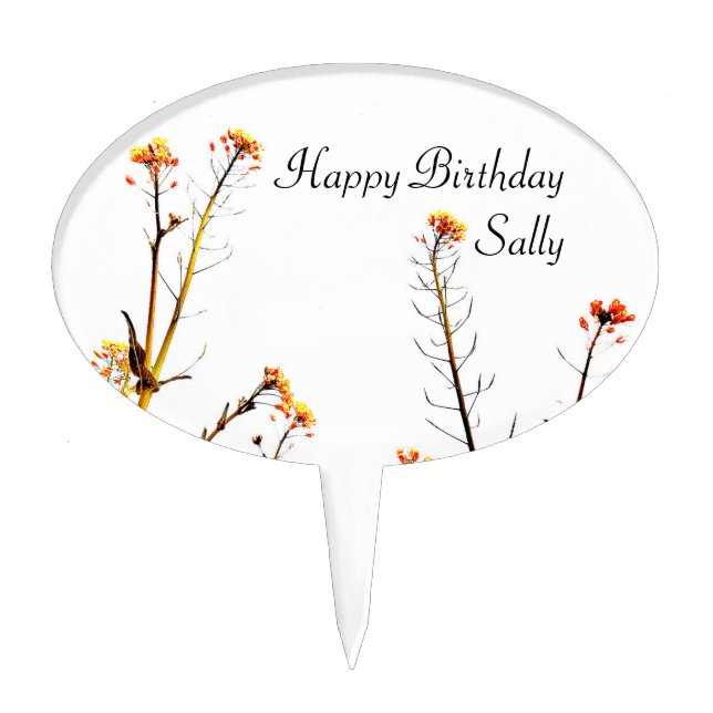 Happy Birthday Sally Cake Topper (Front)