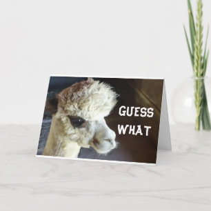 HAPPY *BIRTHDAY* SAY LLAMA CARD