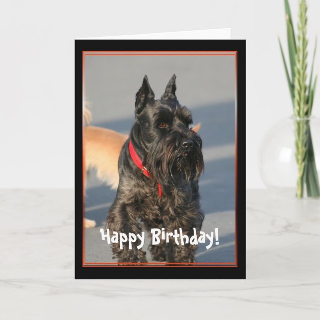 Happy Birthday Scottish Terrier Greeting Card (Front)
