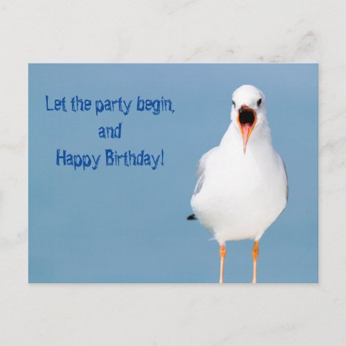happy birthday seagull on lake postcard