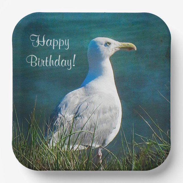 Happy Birthday Seagull Paper Plates (Front)
