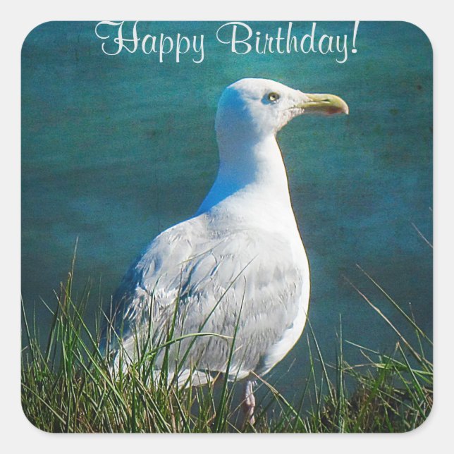 Happy Birthday Seagull Square Stickers (Front)