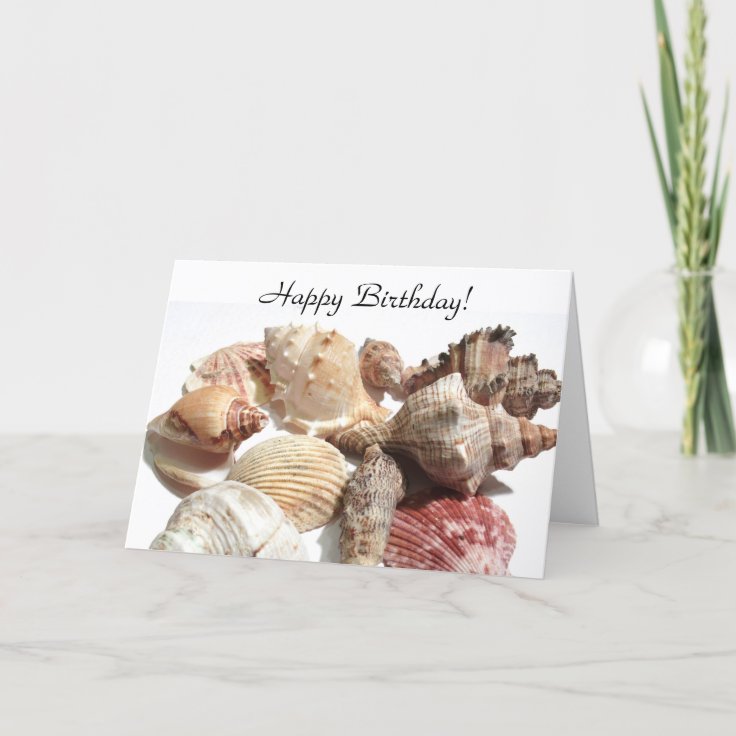 Happy Birthday Seashells Greeting card | Zazzle