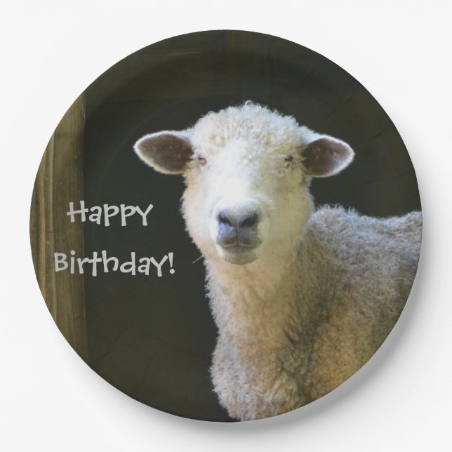 Happy Birthday Sheep Paper Plates (Front)