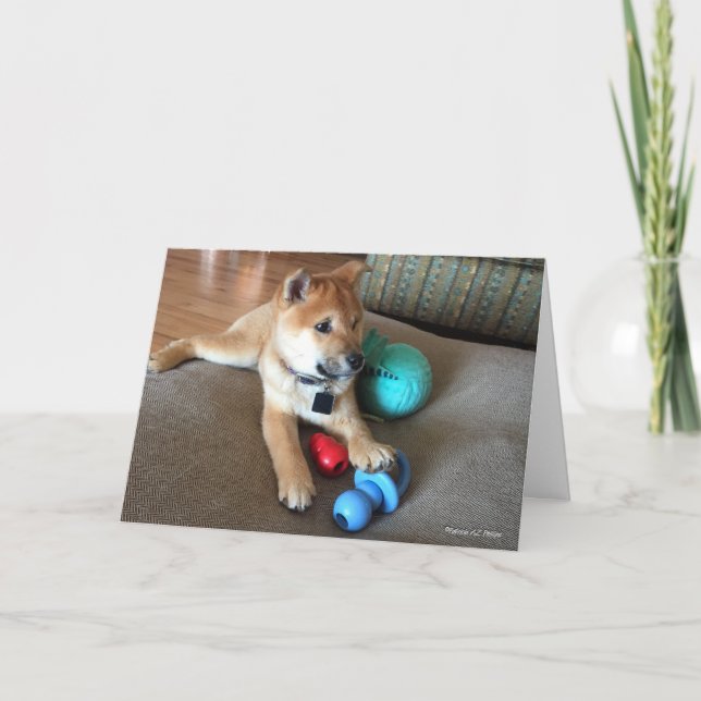 Happy Birthday Shiba Inu Puppy Colorful Toys Photo Card (Front)