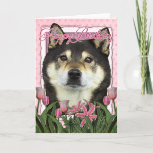 Happy Birthday - Shiba Inus - Yasha Card