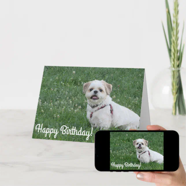 Happy Birthday Shih tzu card | Zazzle