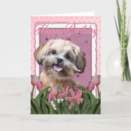 Happy Birthday _ ShihPoo _ Maggie Card