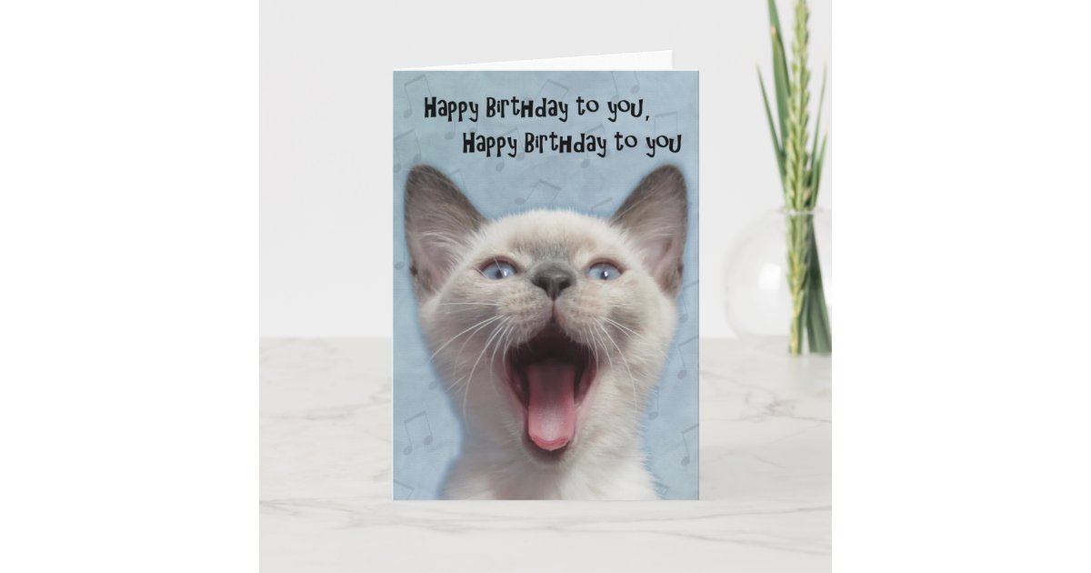 Happy Birthday Siamese Kitten Card | Zazzle.com