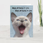 Happy Birthday Siamese Kitten Card at Zazzle
