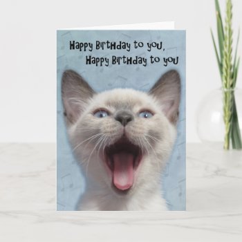 Happy Birthday Siamese Kitten Card by Melt_Your_Heart_MEOW at Zazzle