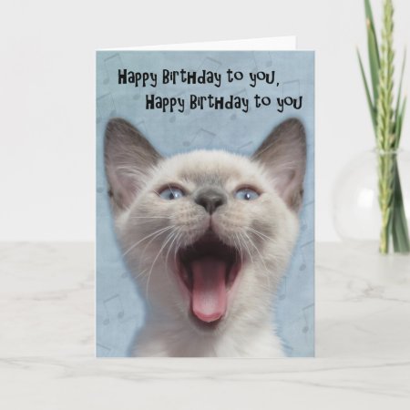 Happy Birthday Siamese Kitten Card
