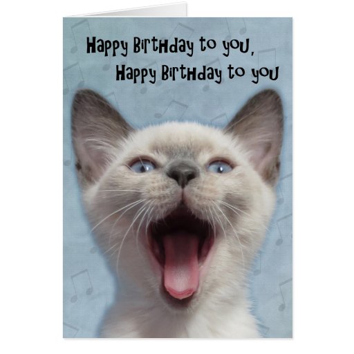 Happy Birthday Siamese Kitten Card | Zazzle