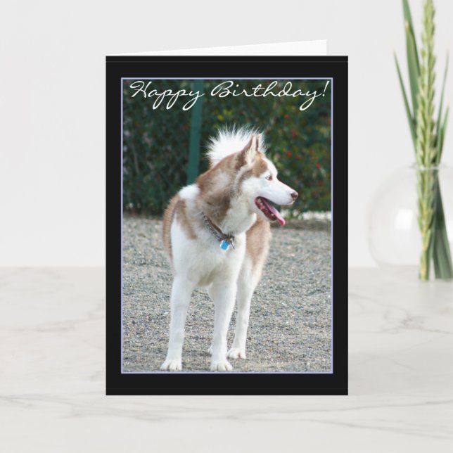 Happy Birthday  Siberian Husky greeting card (Front)