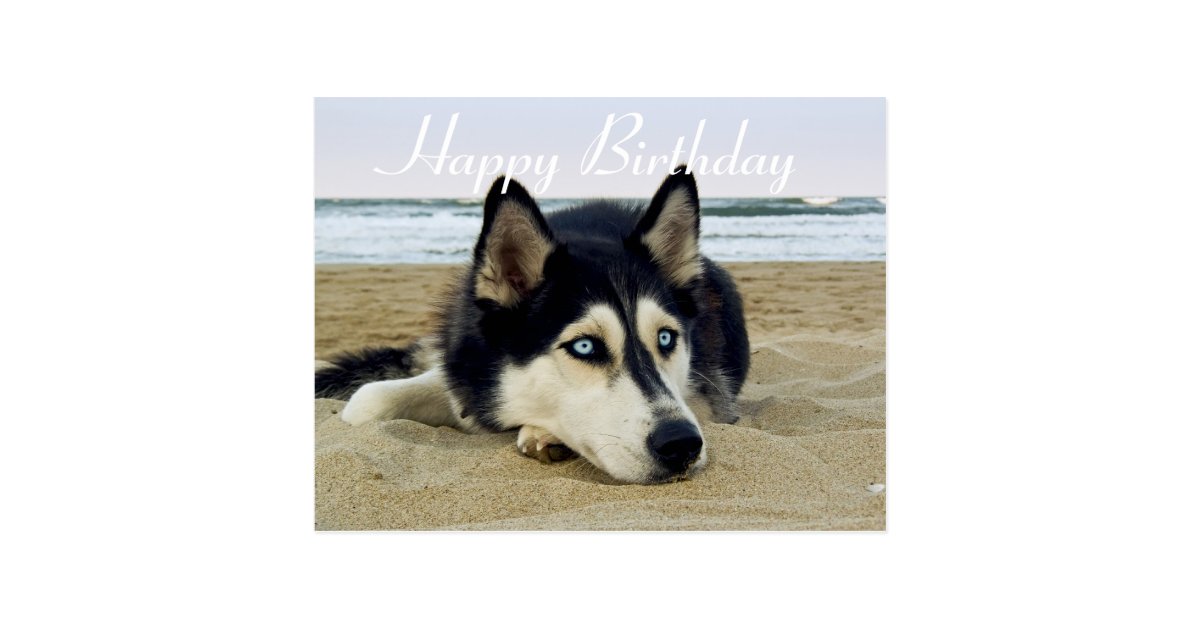 Happy Birthday Siberian Husky Puppy Dog Post Card Zazzle Com