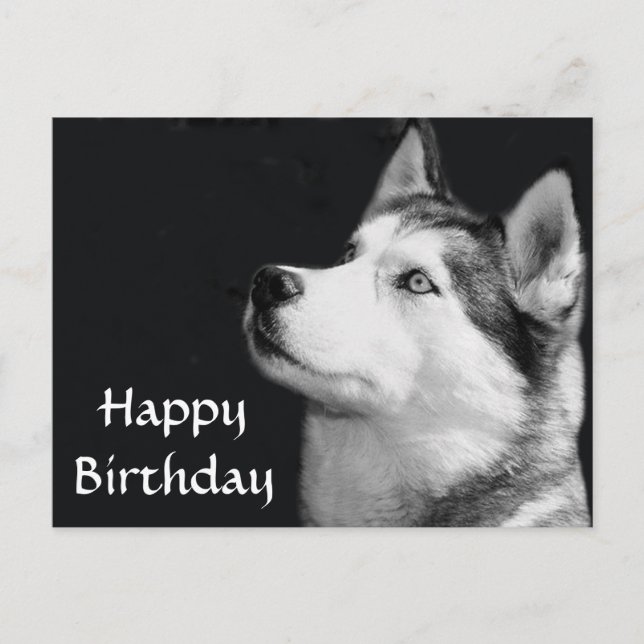 Happy Birthday Siberian Husky Puppy Dog Post Card (Front)
