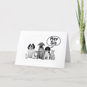 HAPPY BIRTHDAY **SISTER** BEST ON YET! CARD