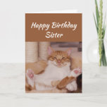 Happy Birthday Sister Celebrate it any way Cat Fun Card<br><div class="desc">Happy Birthday Sister Celebrate it any way you want with a cute relaxing Cat Funny animal birthday greeting to customize</div>