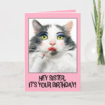 Happy Birthday Sister Funny Cat in Make Up Holiday Card<br><div class="desc">Tell your sister to get "dolled up" and enjoy their day to sparkle and shine with this hilarious cat in vibrant make up who just applied red lipstick when you wish them a Happy Birthday!</div>