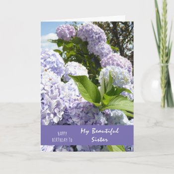 Happy Birthday Sister Hydrangea Flowers Card by Flissitations at Zazzle