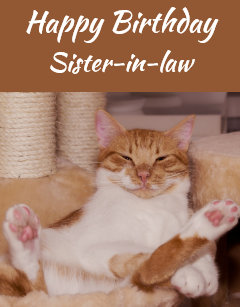 A Cat Birthday Sister Gifts On Zazzle