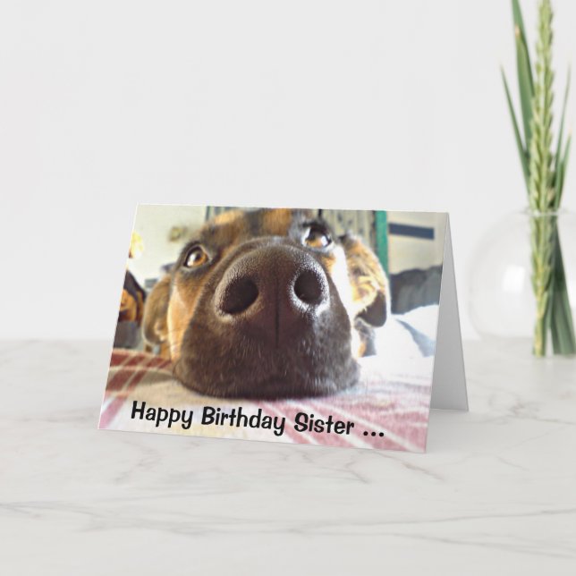 Happy Birthday Sister One I look up to! Cute Dog Card (Front)