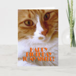 Happy Birthday Sister - Sweet Cat Card<br><div class="desc">Wish your sister a "Happy Birthday",  with this cute card from my "Kitty Koolness" Collection,  featuring an adorable orange and white kitty. The inside can be kept as is,  or personalized by you for that added touch. photo by designer.</div>