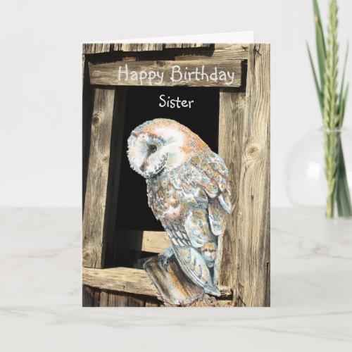 Happy Birthday Sister Watercolor Barn Owl  Holiday Card
