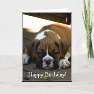 Happy Birthday Sleepy boxer puppy greeting card