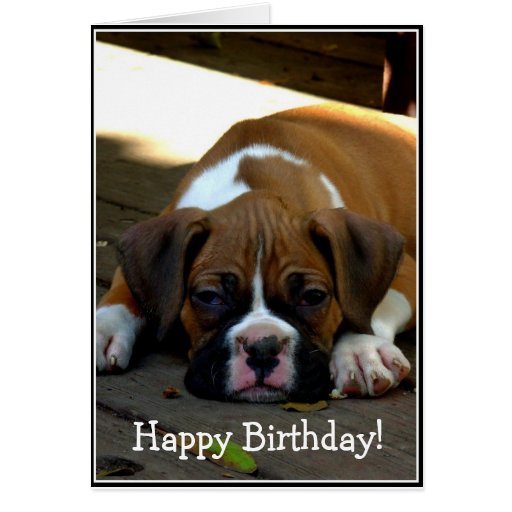 Happy Birthday Sleepy boxer puppy greeting card | Zazzle