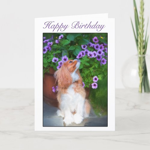 Happy Birthday Smelling Flowers King Charles Dog Card