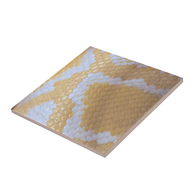 Happy Birthday Snake  Ceramic Tile (Side)