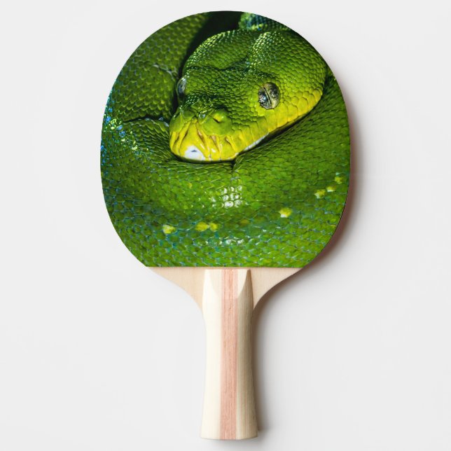 Happy Birthday Snake  Ping Pong Paddle (Front)