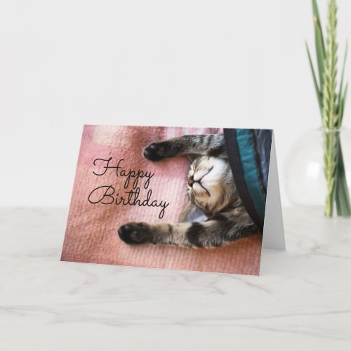 Happy Birthday  Snoozing Kitten Card