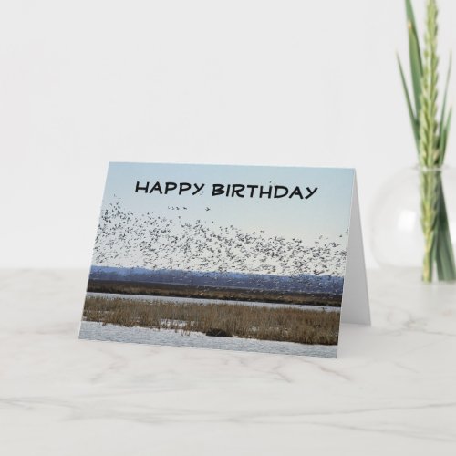 Happy Birthday Snow Geese at Squaw Creek Refuge Card
