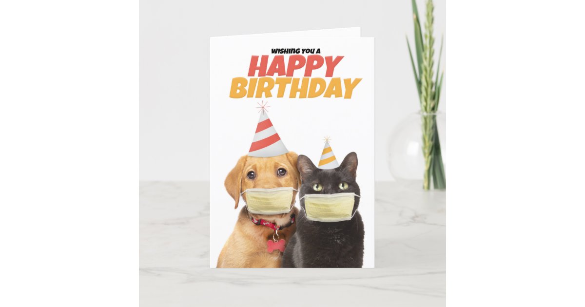 Happy Birthday Social Distancing Cat And Dog Humor Holiday Card Zazzle Com