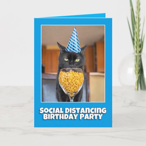 Happy Birthday Social Distancing Cat Humor Holiday Card