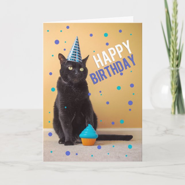 Happy Birthday Social Distancing Cat Party Humor Holiday Card (Front)