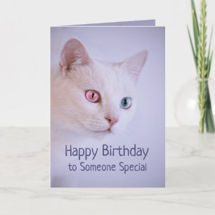 Happy Birthday Someone Special to Me Cat Card
