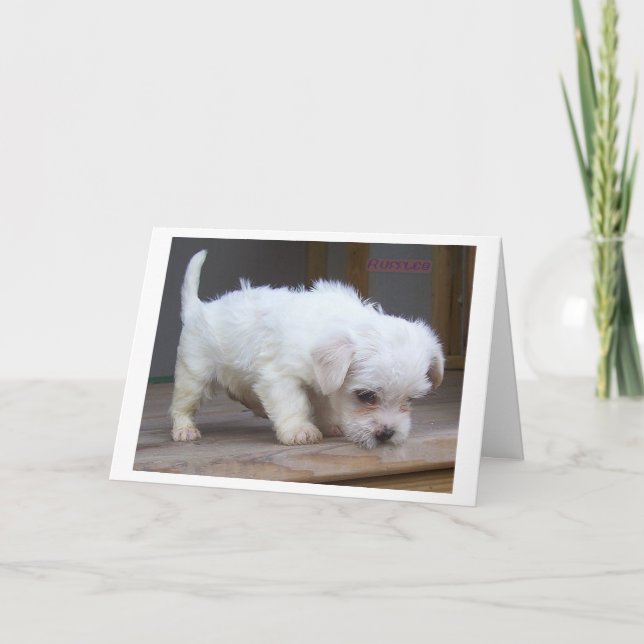 Happy Birthday Son Card (Front)