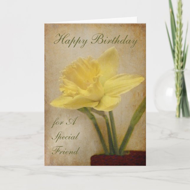 Happy Birthday, Special Friend Card (Front)