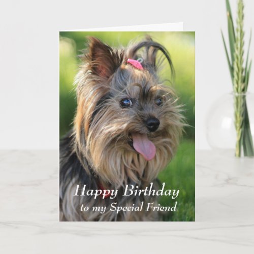 Happy Birthday Special Friend Fun Yorkie Dog Card