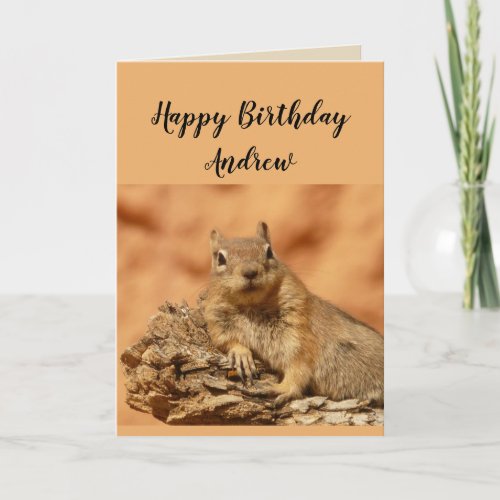 Happy Birthday Specific Person Fun Squirrel Humor Card