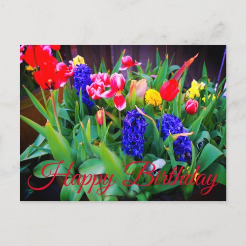 Happy Birthday Spring Flowers 3 Postcard